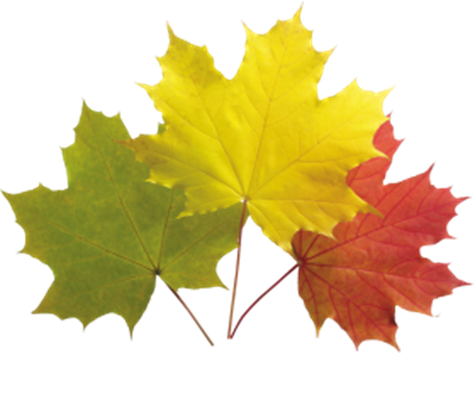 Autum - BLASIAN LOVE FOREVER™. All rights reserved